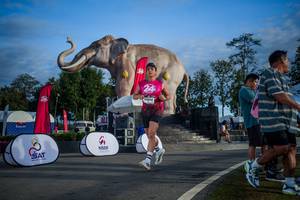 BIB: 
                            <button type="button" onclick="openModal(26541859)" class="btn btn-primary btn-sm float-right btn-popup" data-toggle="modal" data-target=".modal-high-quality">
                        <i class="fas fa-shopping-cart"></i> Add to Cart
                    </button>
                                            <button type="button" onclick="isThisMe(26541859, true)" class="btn btn-success btn-sm float-right btn-popup btn-isme hidden" data-toggle="tooltip" data-placement="bottom" title="นี่คือรูปของคุณใช่ไหม คลิกที่นี่เพื่อเอาเข้าอัลบั้ม">
                        <i class="fas fa-plus"></i> Add to album
                    </button>
                    <button type="button" onclick="isThisMe(26541859, false)" class="btn btn-warning btn-sm float-right btn-popup btn-isnotme hidden">
                        <i class="fas fa-ban"></i> Remove from album
                    </button>